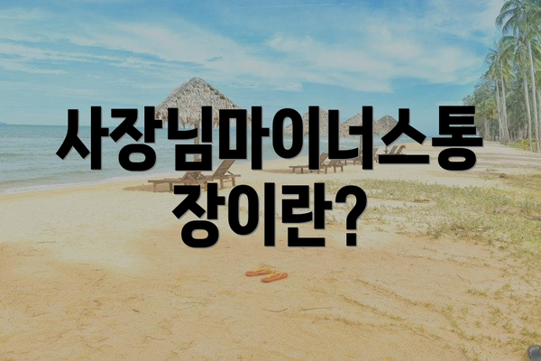 사장님마이너스통장이란?