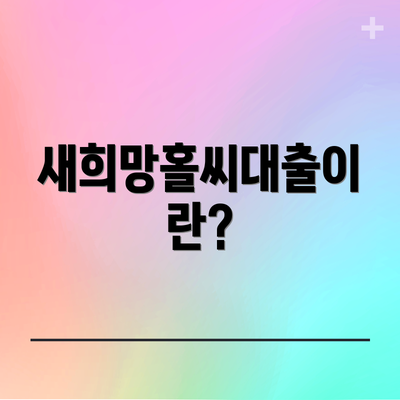 새희망홀씨대출이란?