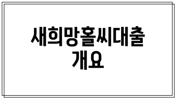 새희망홀씨대출 개요