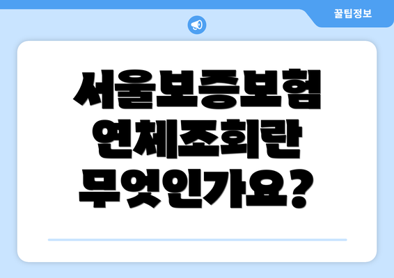 서울보증보험 연체조회란 무엇인가요?