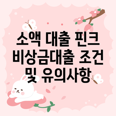 소액 대출 핀크 비상금대출 조건 및 유의사항