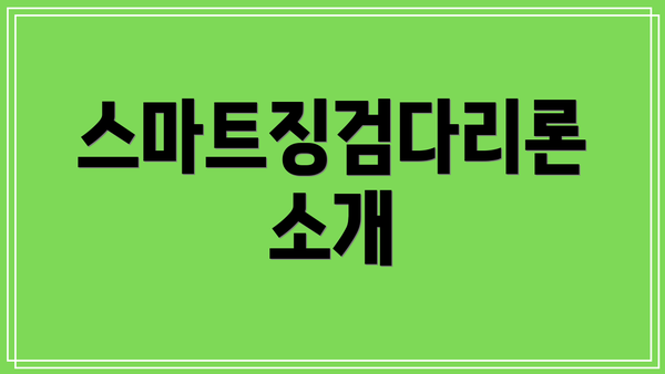 스마트징검다리론 소개