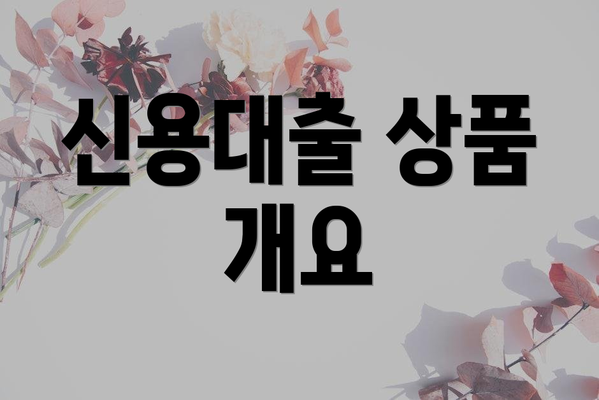 신용대출 상품 개요