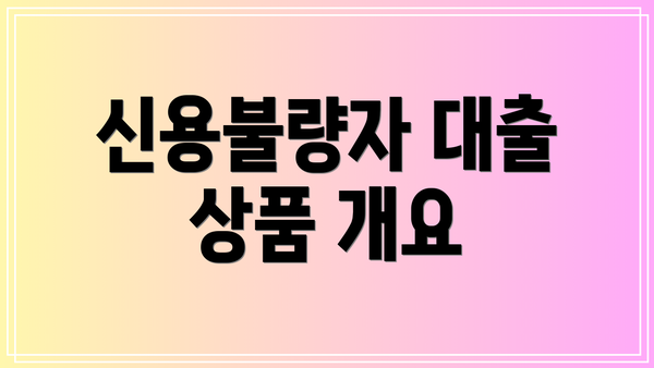 신용불량자 대출 상품 개요