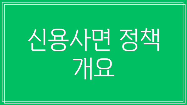 신용사면 정책 개요