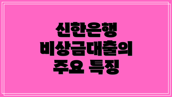신한은행 비상금대출의 주요 특징