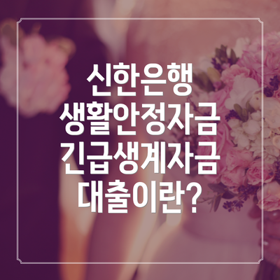 신한은행 생활안정자금 긴급생계자금 대출이란?