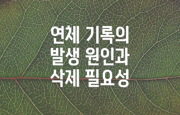 연체 기록의 발생 원인과 삭제 필요성