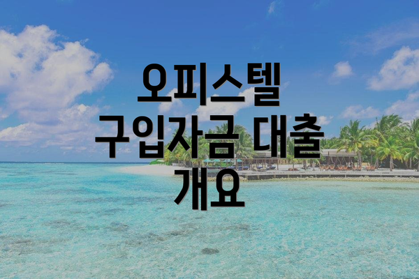 오피스텔 구입자금 대출 개요