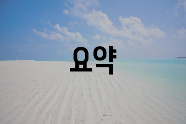 요약