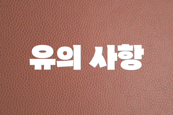 유의 사항