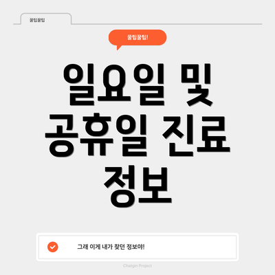 일요일 및 공휴일 진료 정보