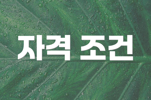 자격 조건
