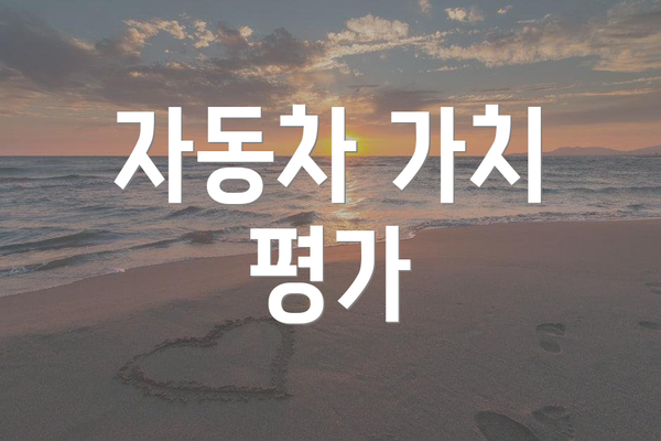 자동차 가치 평가