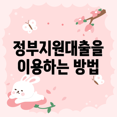 정부지원대출을 이용하는 방법