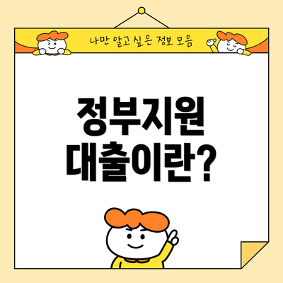 정부지원 대출이란?