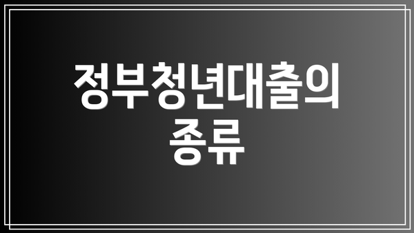 정부청년대출의 종류