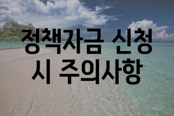 정책자금 신청 시 주의사항