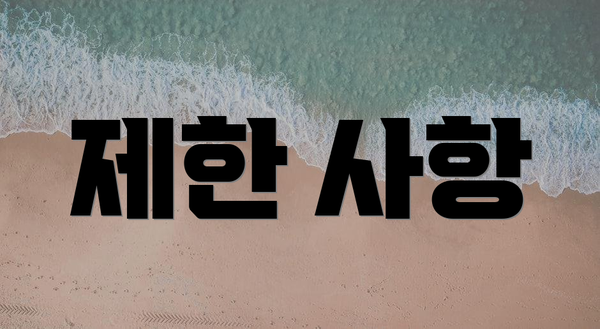 제한 사항