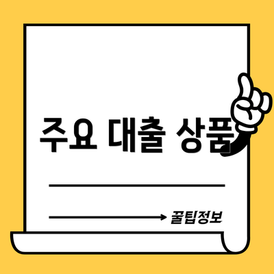 주요 대출 상품