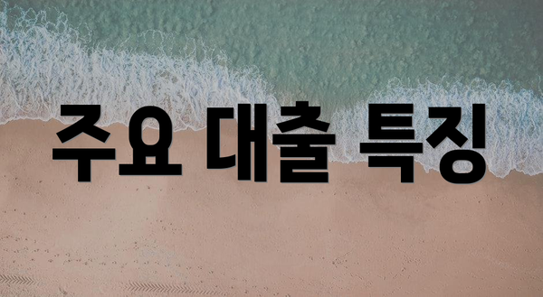 주요 대출 특징