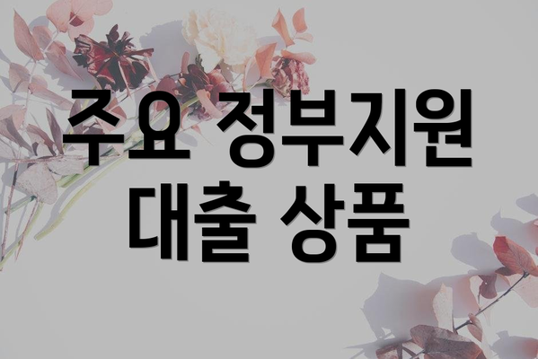 주요 정부지원 대출 상품