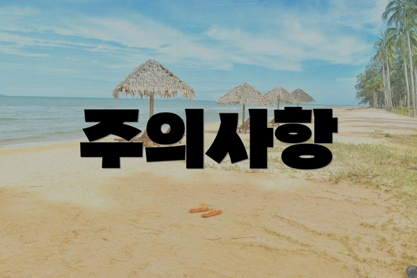 주의사항