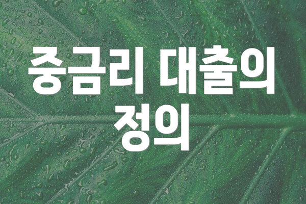 중금리 대출의 정의