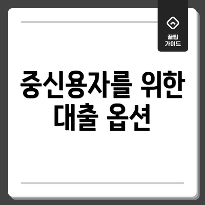 중신용자를 위한 대출 옵션