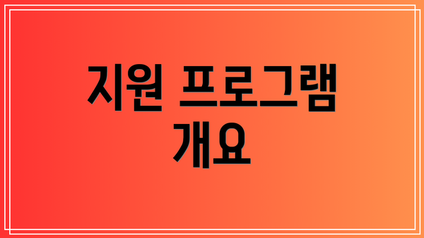 지원 프로그램 개요