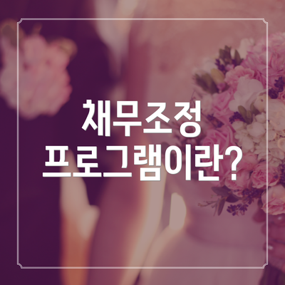 채무조정 프로그램이란?