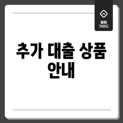 추가 대출 상품 안내