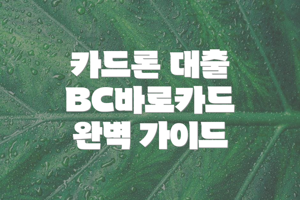 카드론 대출 BC바로카드 완벽 가이드