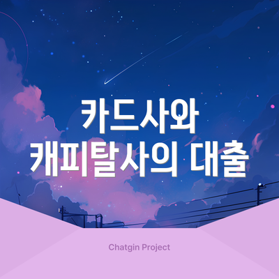 카드사와 캐피탈사의 대출
