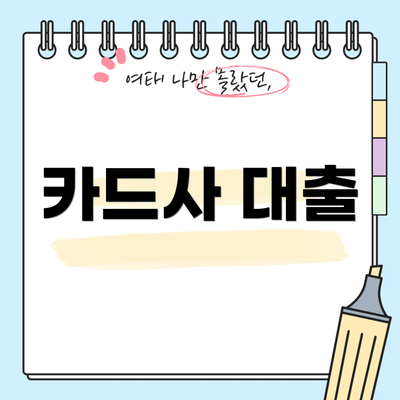 카드사 대출