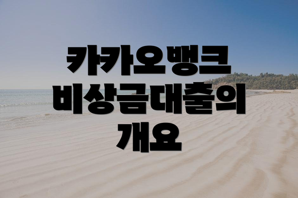 카카오뱅크 비상금대출의 개요