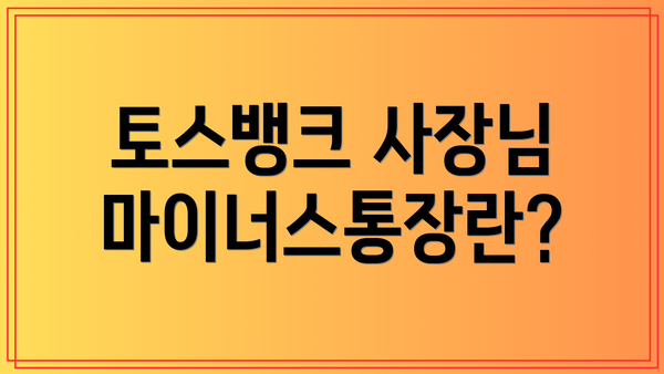 토스뱅크 사장님마이너스통장란?