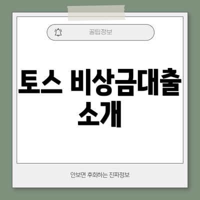 토스 비상금대출 소개