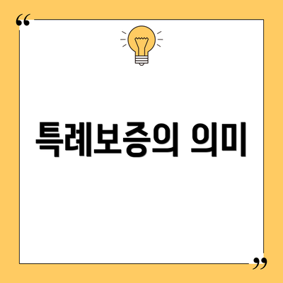 특례보증의 의미