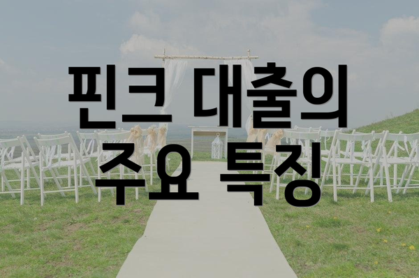 핀크 대출의 주요 특징