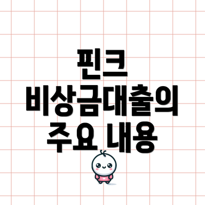 핀크 비상금대출의 주요 내용