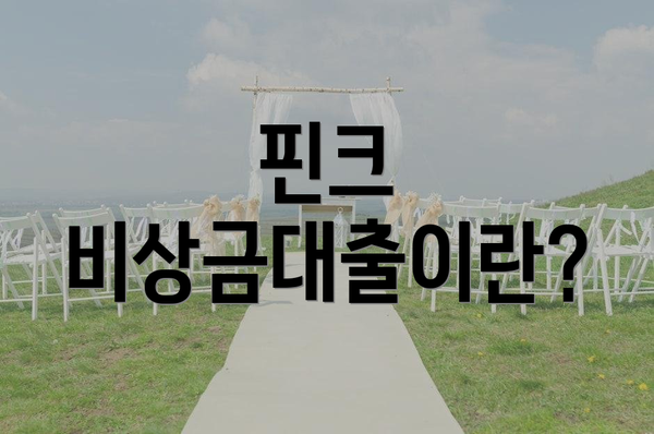 핀크 비상금대출이란?