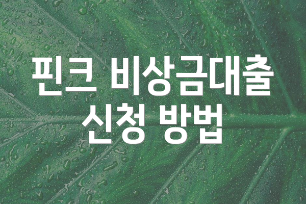 핀크 비상금대출 신청 방법