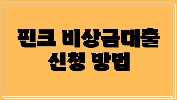 핀크 비상금대출 신청 방법