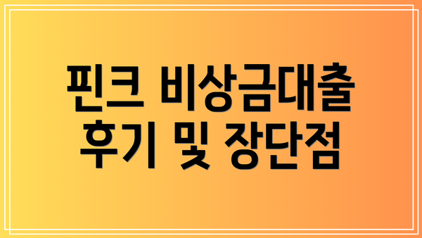 핀크 비상금대출 후기 및 장단점