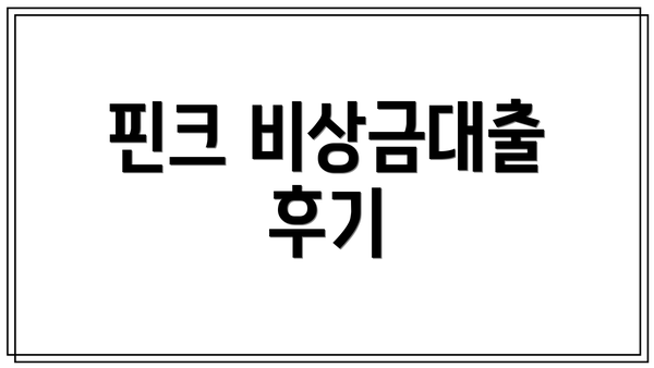 핀크 비상금대출 후기
