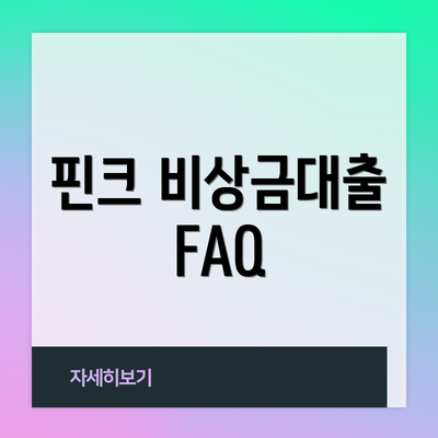 핀크 비상금대출 FAQ