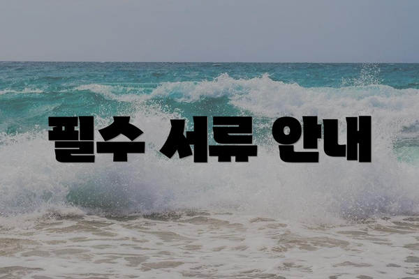 필수 서류 안내