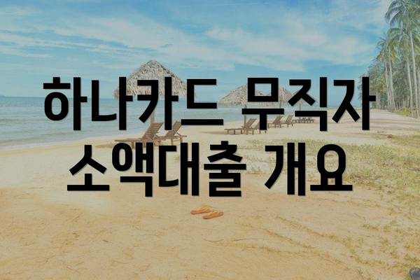 하나카드 무직자 소액대출 개요