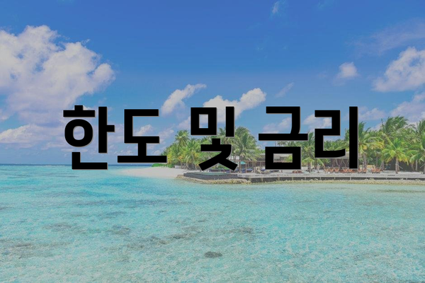 한도 및 금리